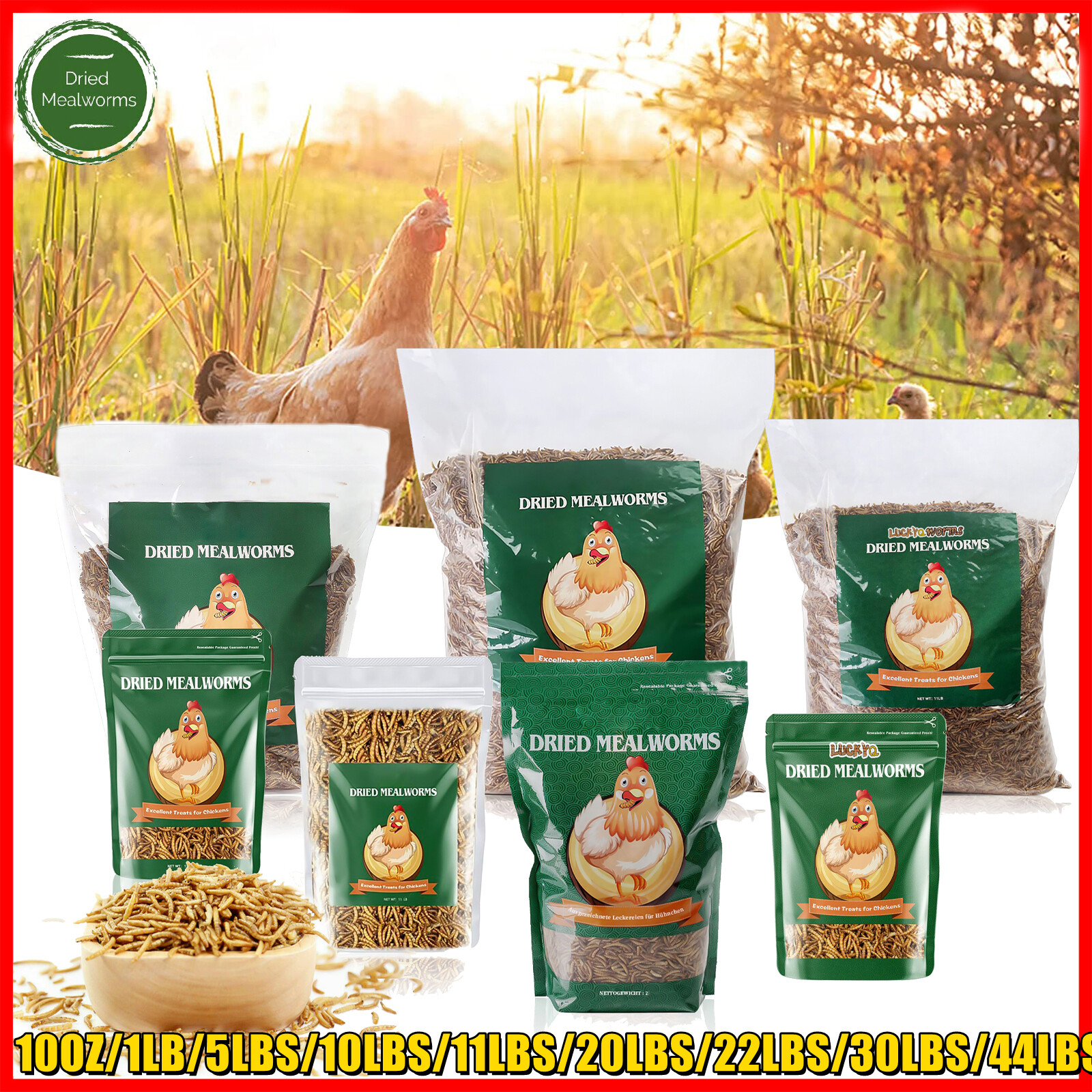 Wholesale Bulk Dried Mealworms for Wild Birds Food Blue Bird Chickens Hen Treats