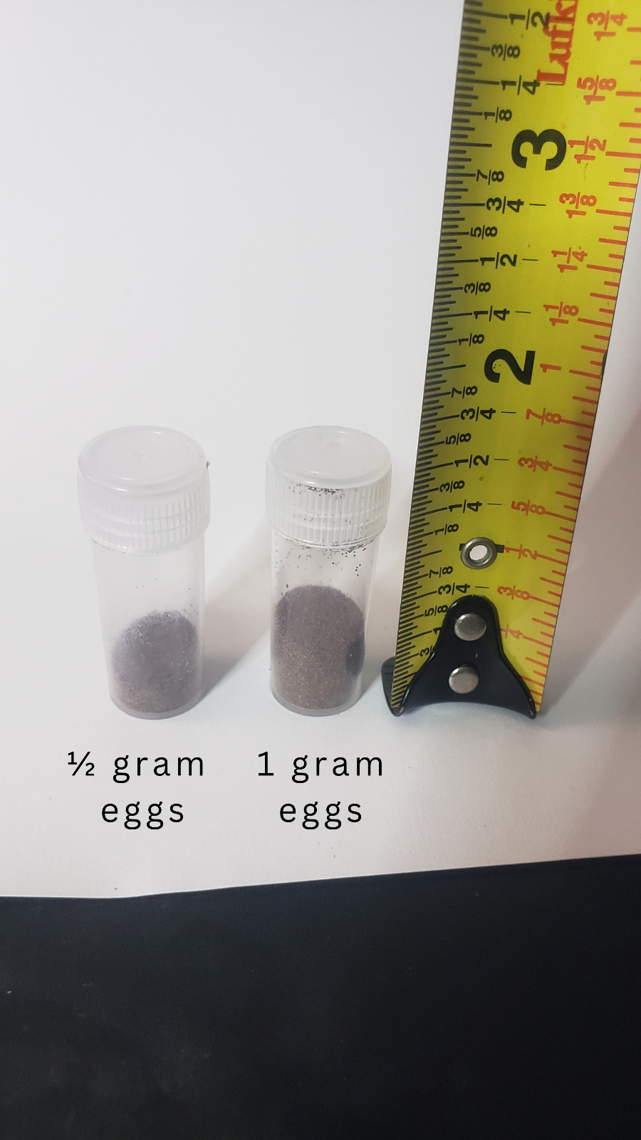 Tibetan Red Brine Shrimp Eggs – Slightly larger than Sea Monkey’s.