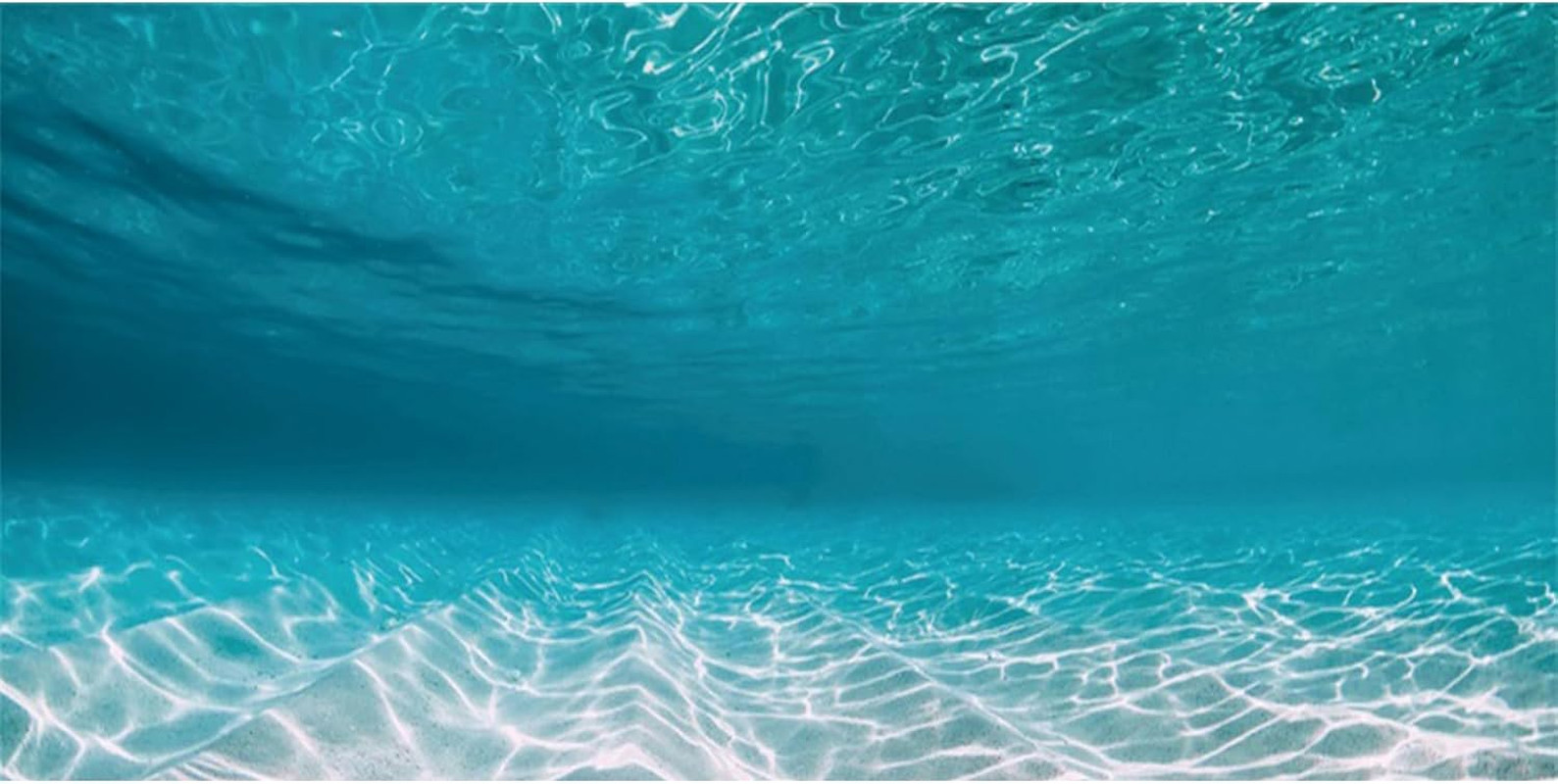 48X24 Inches Undersea Aquarium Background Pool Ocean Floor Aquarium Background U