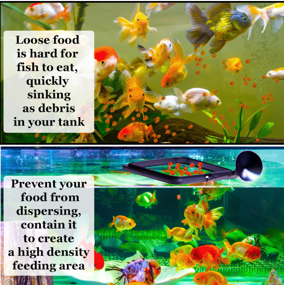 Premium Fish Food, Slow Sinking 0.5mm-0.8mm All Stages Color Enhance Made in USA