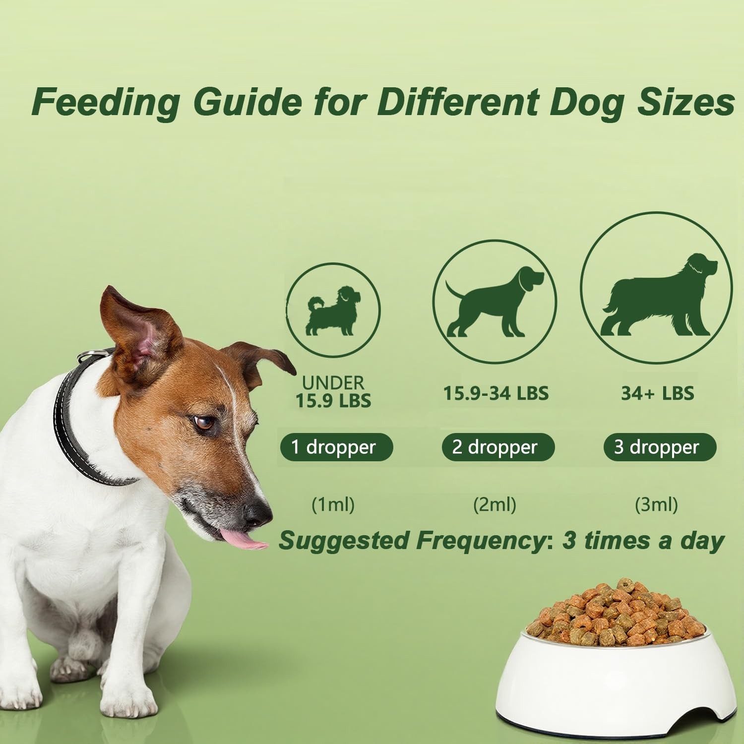 Dog Antibiotics for Infections, Cough, & Itching | Natural Antibiotics for Do…