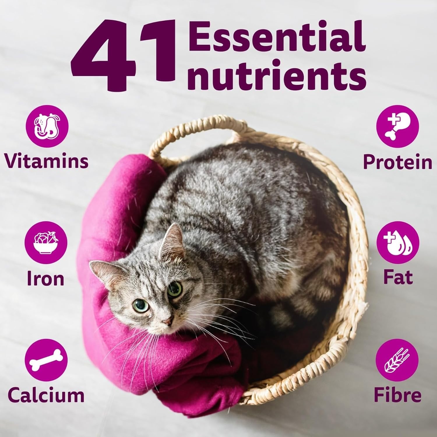 Whiskas Adult (+1 Year) Dry Cat Food Food, Chicken Flavour, 1.2kg