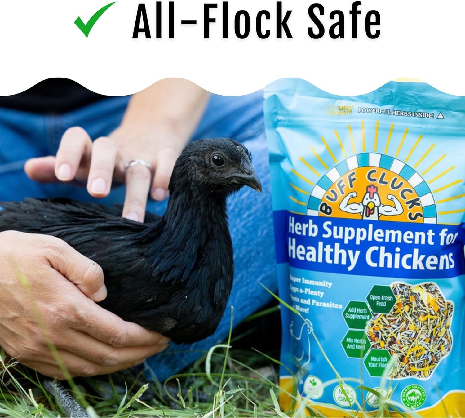 5LB Buff Clucks Herb Supplement Backyard Chickens Chicken,Poultry Feed Botanical