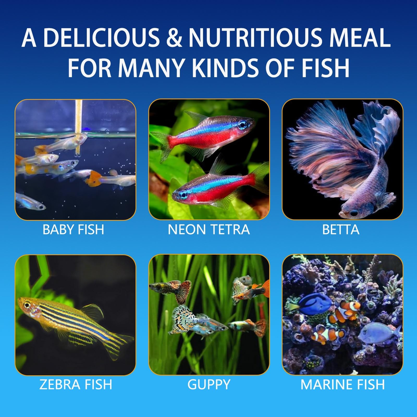 JADINGSFARM Instant Baby Brine Shrimp Fish Food, No Hatch High Protein Fry Fo…