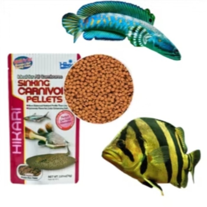 75g Hikari Sinking Carnivore Pellets Food High Protein for Catfish Arowana Oscar