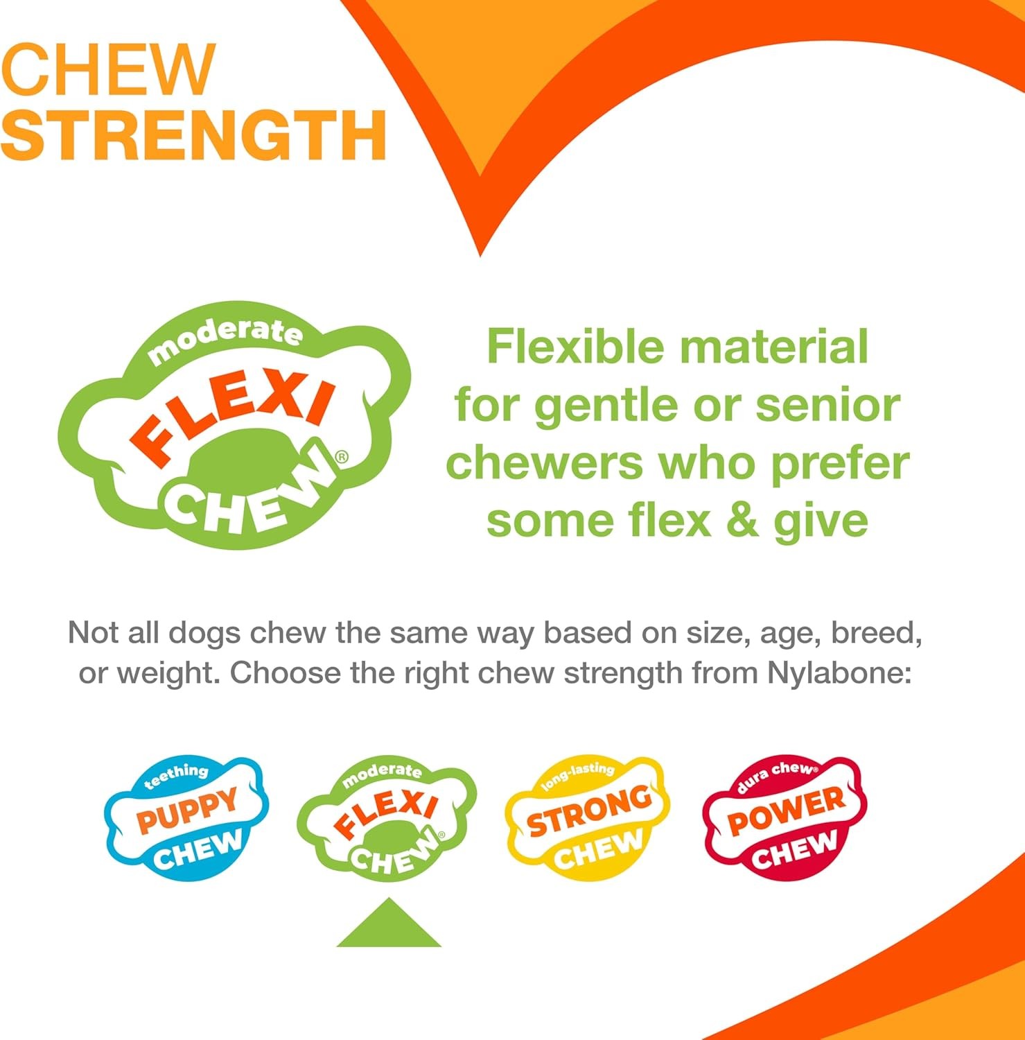 Nylabone Moderate Chew Tiny Bones Twin Pack for Dogs up to 8 Pounds