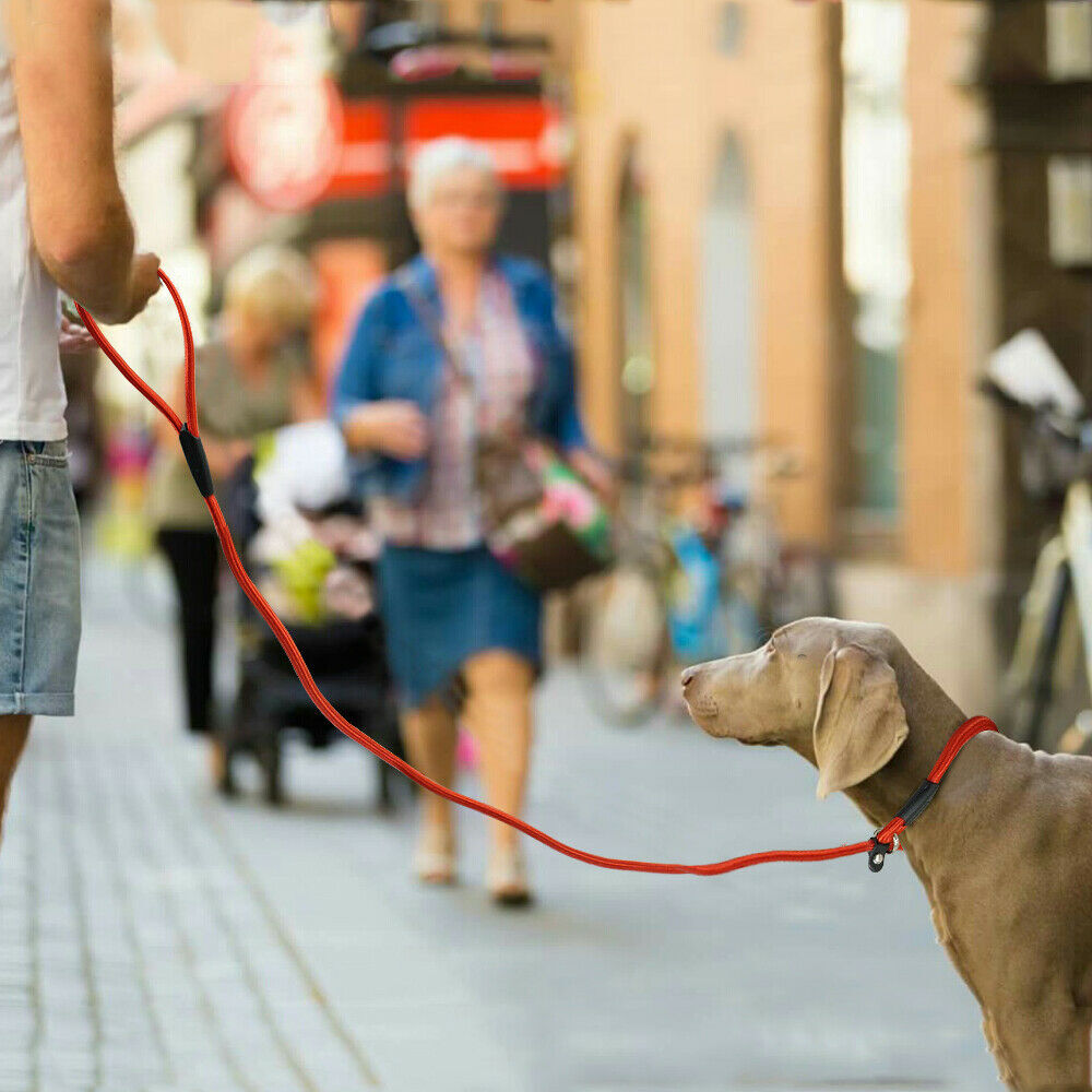 Dog Nylon Adjustable Loop Slip Rope Leash Lead Training Choke Pet Collar 130cm