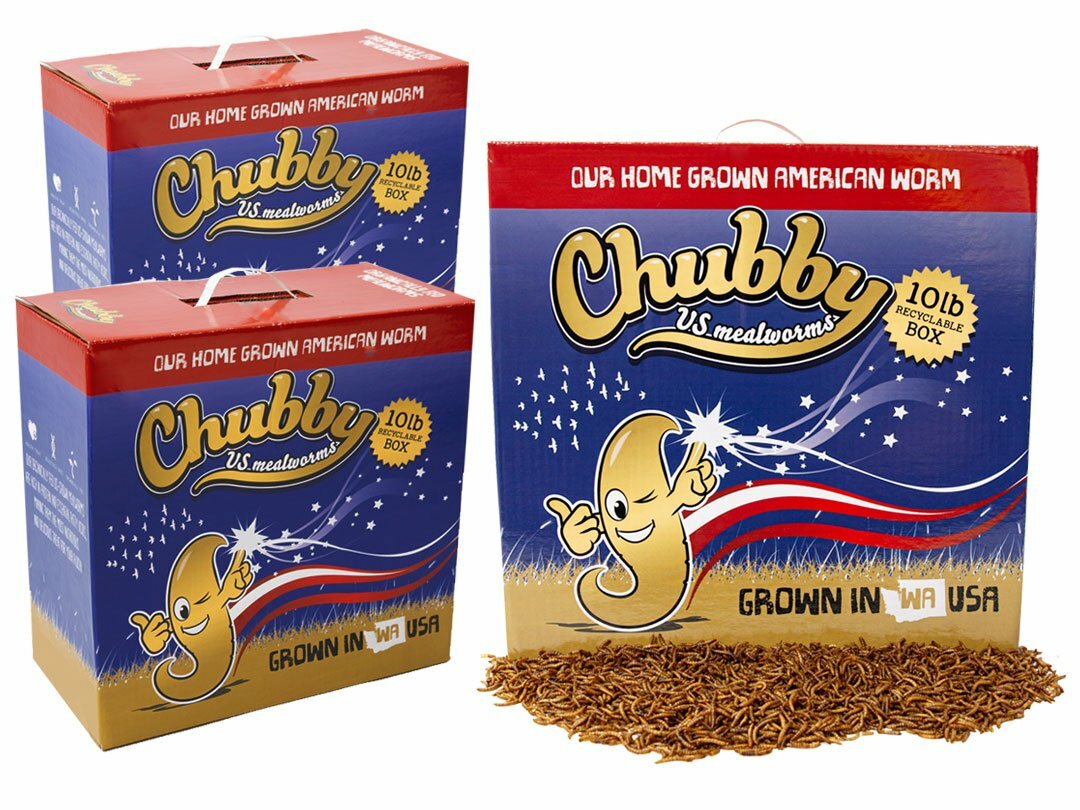 30Lbs Chubby US Grown Dried Mealworms High Protein Treat Chicken, Ducks & Birds