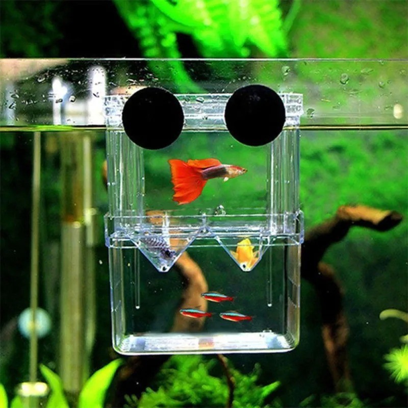 Multifunctional Fish Breeder Box Aquarium Guppy Hatching Incubator Tank Set
