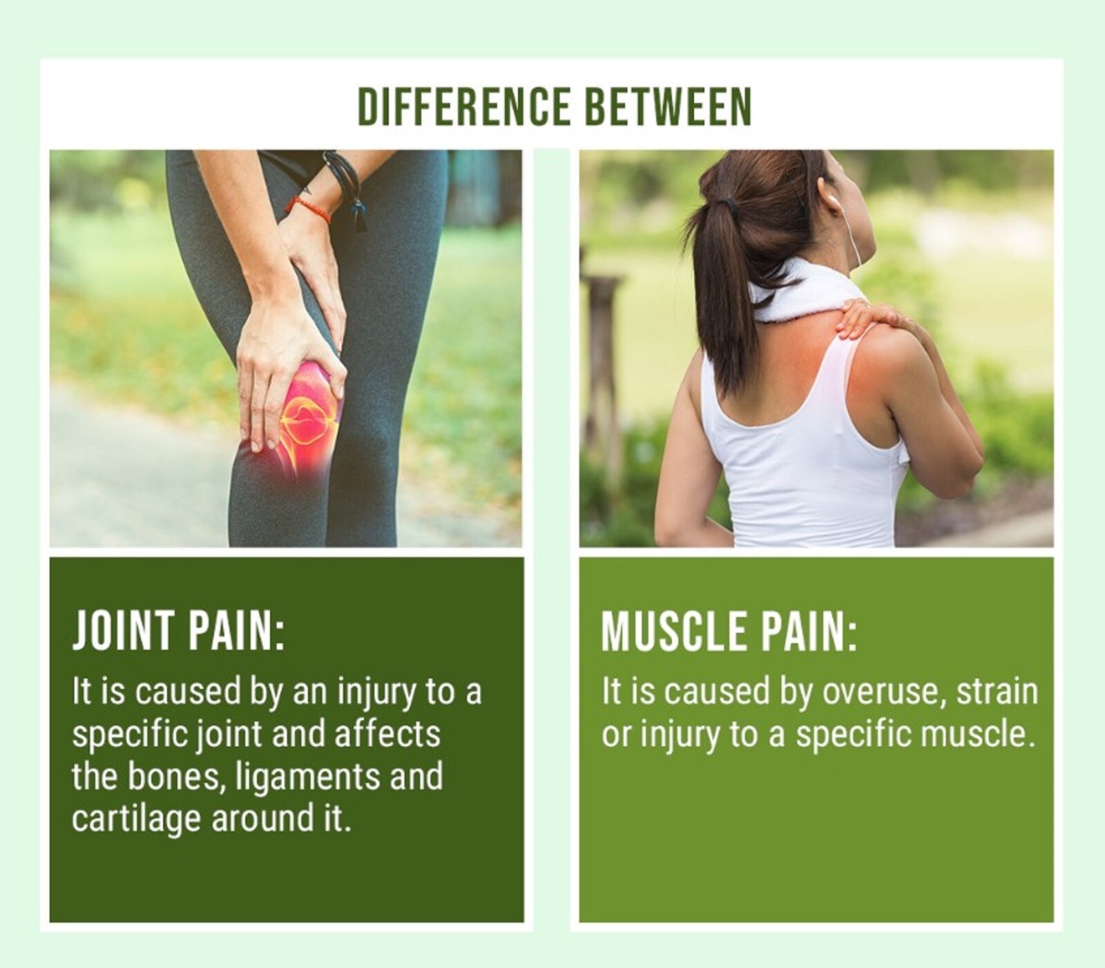 100% HERBS FOR JOINT & MUSCLE PAIN WOMEN & MEN – 120 CAPS – MADE IN USA