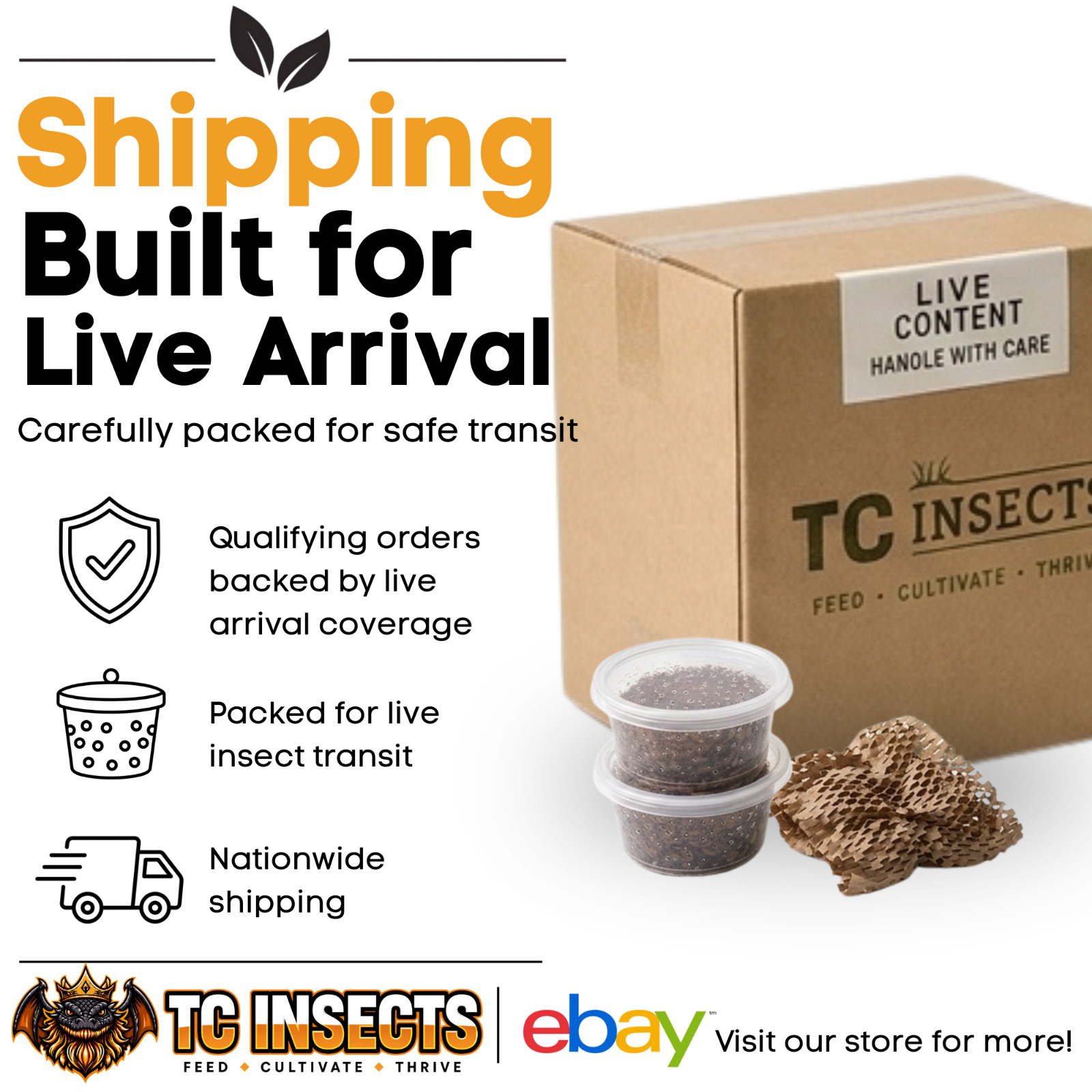 Live Hornworms | ½–1 Inch Size | Feeder Insects | FAST FREE SHIPPING