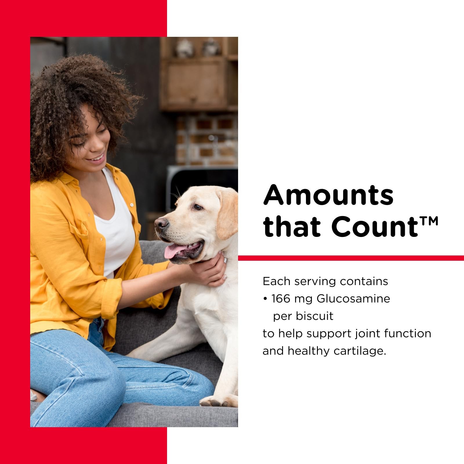 Nutri-Vet Hip & Joint Biscuits for Dogs | Tasty Dog Glucosamine Treat & Dog