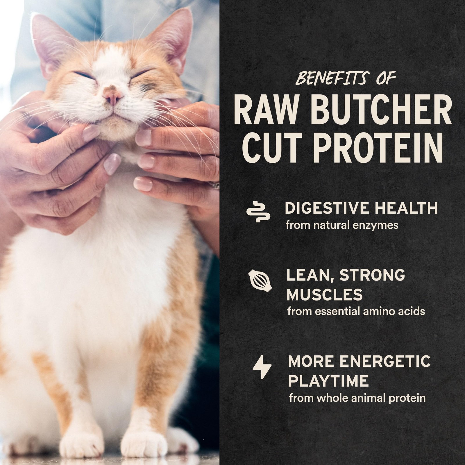 Vital Essentials Freeze Dried Cat Treats | Chicken Breast, Single Ingredient …