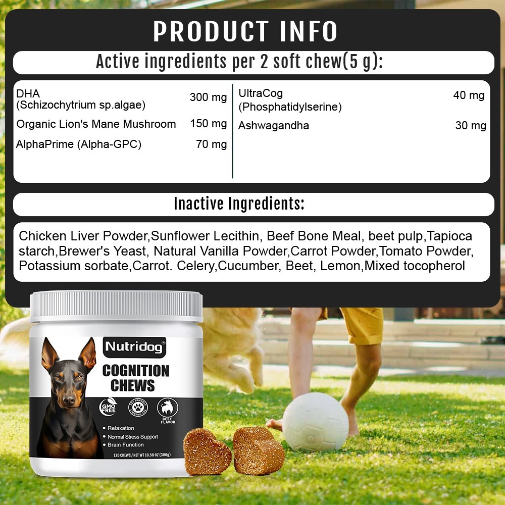 Dog cognitive chews to promote brain health and provide psychological support