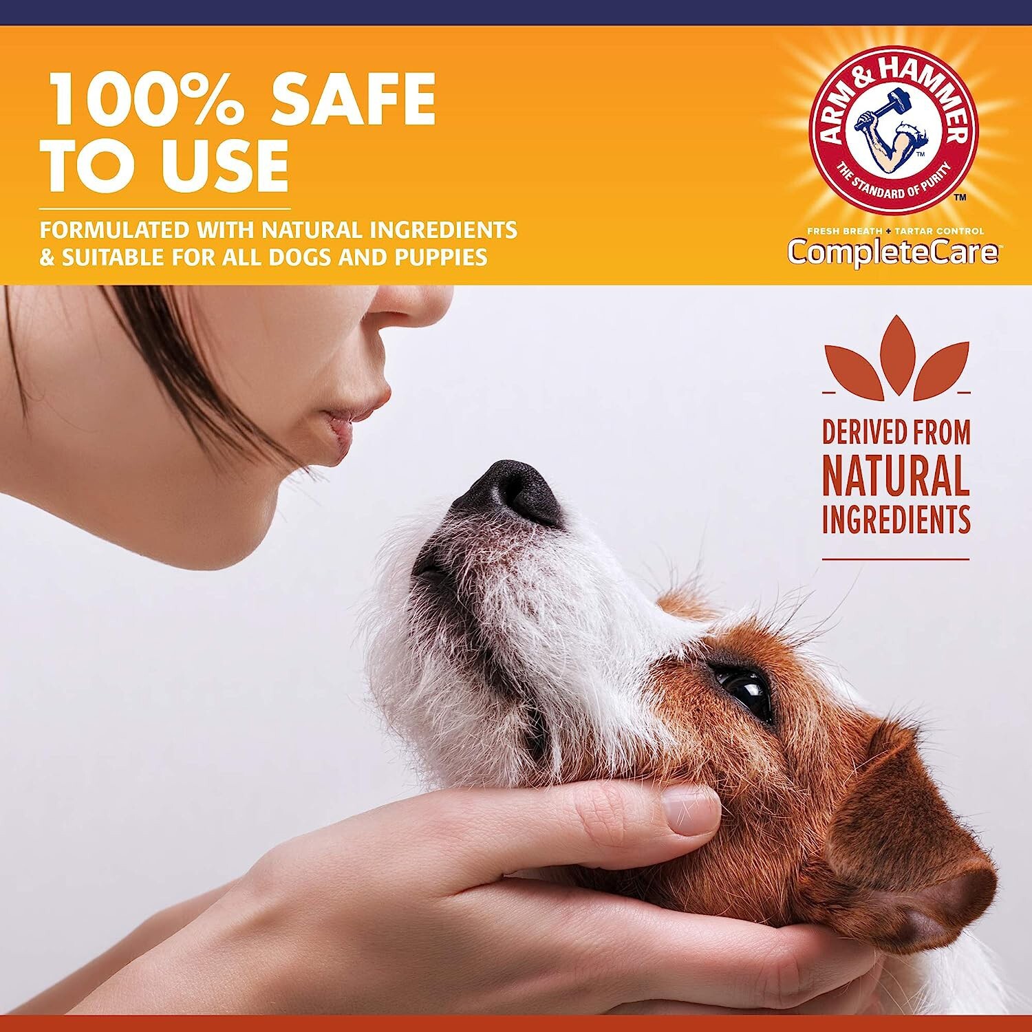 Arm & Hammer Complete Care Dog Dental Spray, 6 Fl Oz