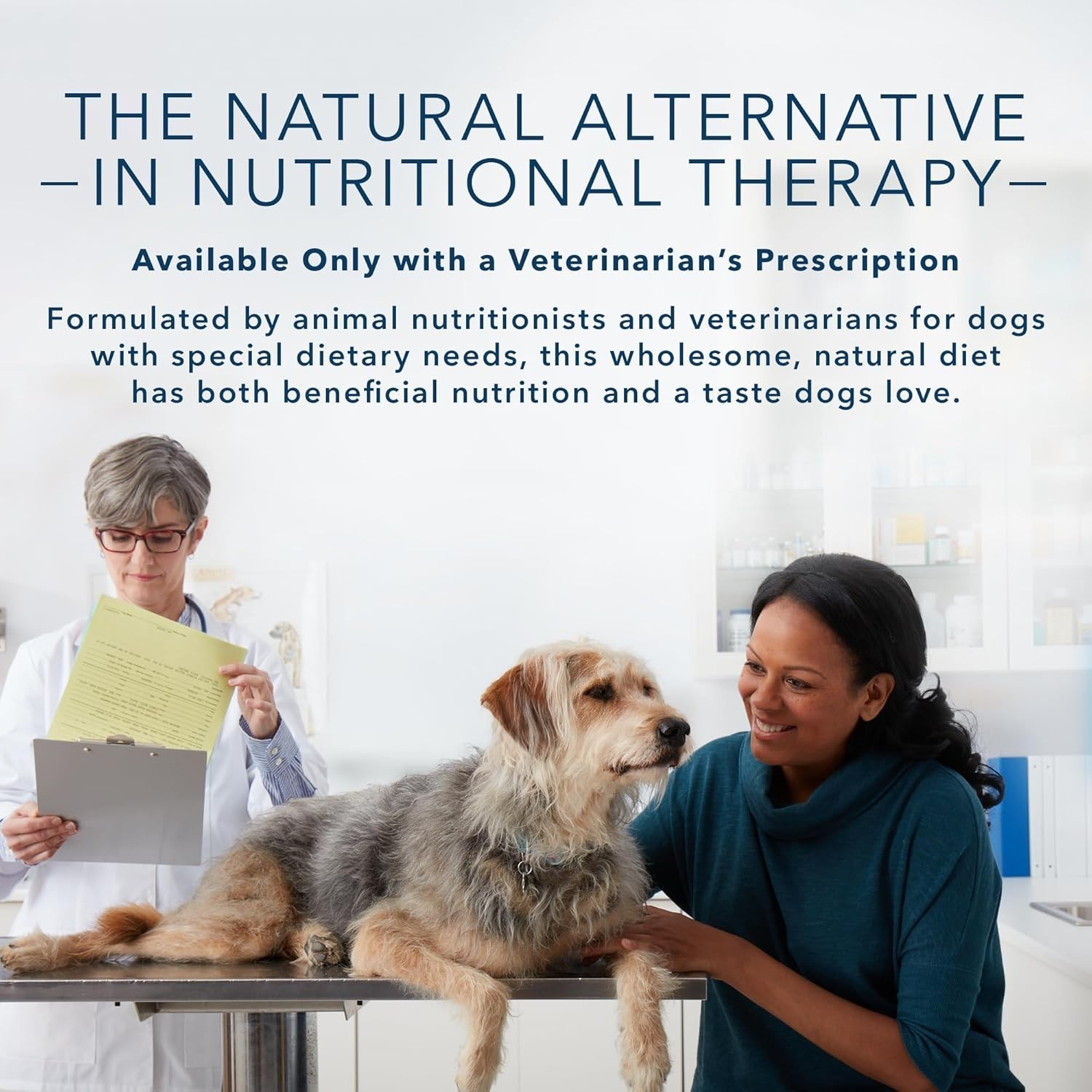 Blue Buffalo Natural Veterinary Diet KS Kidney Support Wet Dog Food, Chicken 12.
