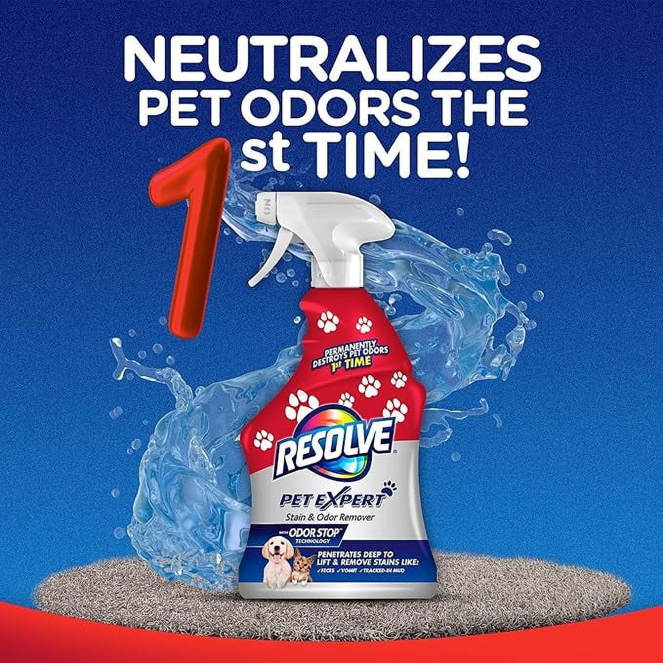 Pet Expert Carpet Stain Cleaner Solution & Odor Remover Spray 22 oz