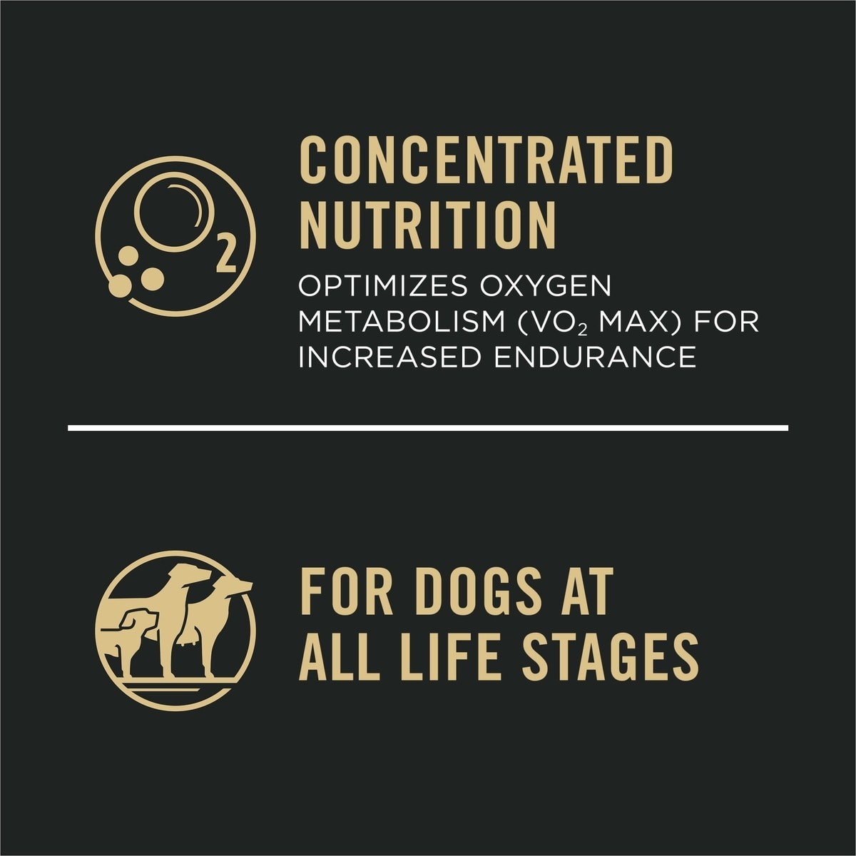 Purina Pro Plan Sport Performance All Life Stages High-Protein 30/20 Salmon 33lb