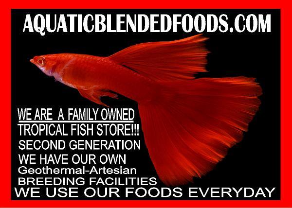 ABF CORY CATFISH MIX Bottom Feeders,Krill,Spirulina,Cory Cats,PlecoABF425WW