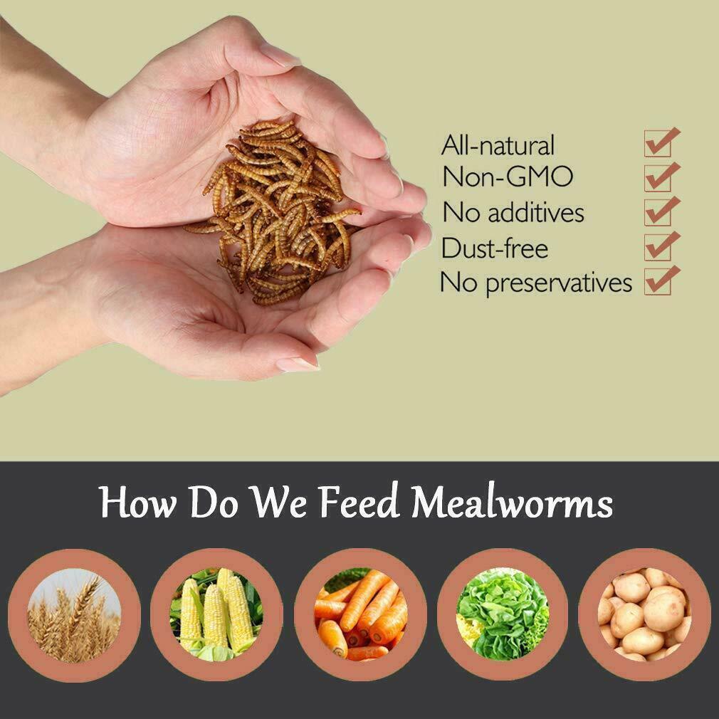 Dried Mealworms High Protein Non-GMO Bulk Food For Chicken,Bird,Turtle,Fish,Duck