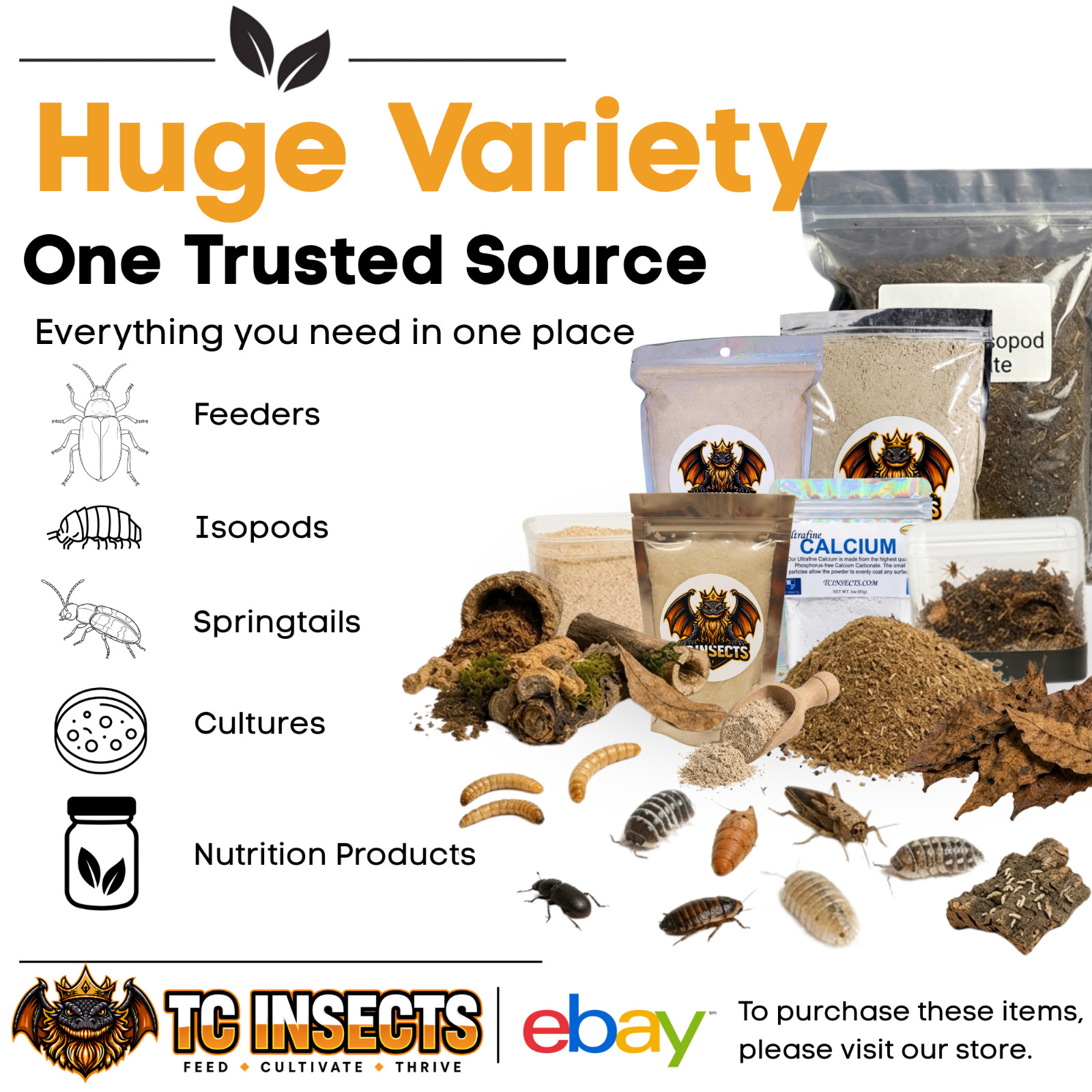 Live Hornworms | ½–1 Inch Size | Feeder Insects | FAST FREE SHIPPING