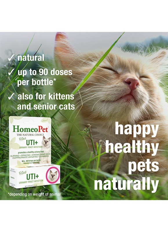 UTI+ Urinary Health 15 ml By HomeoPet Natural Solution For Feline Cats New