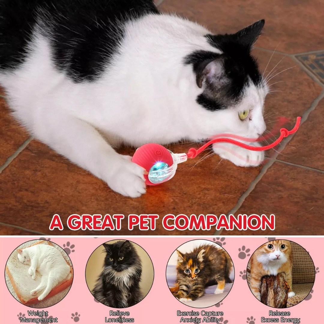 Automatic Rolling Ball Smart Cat Dog Toy Electric Pet Self-moving Kitten lot