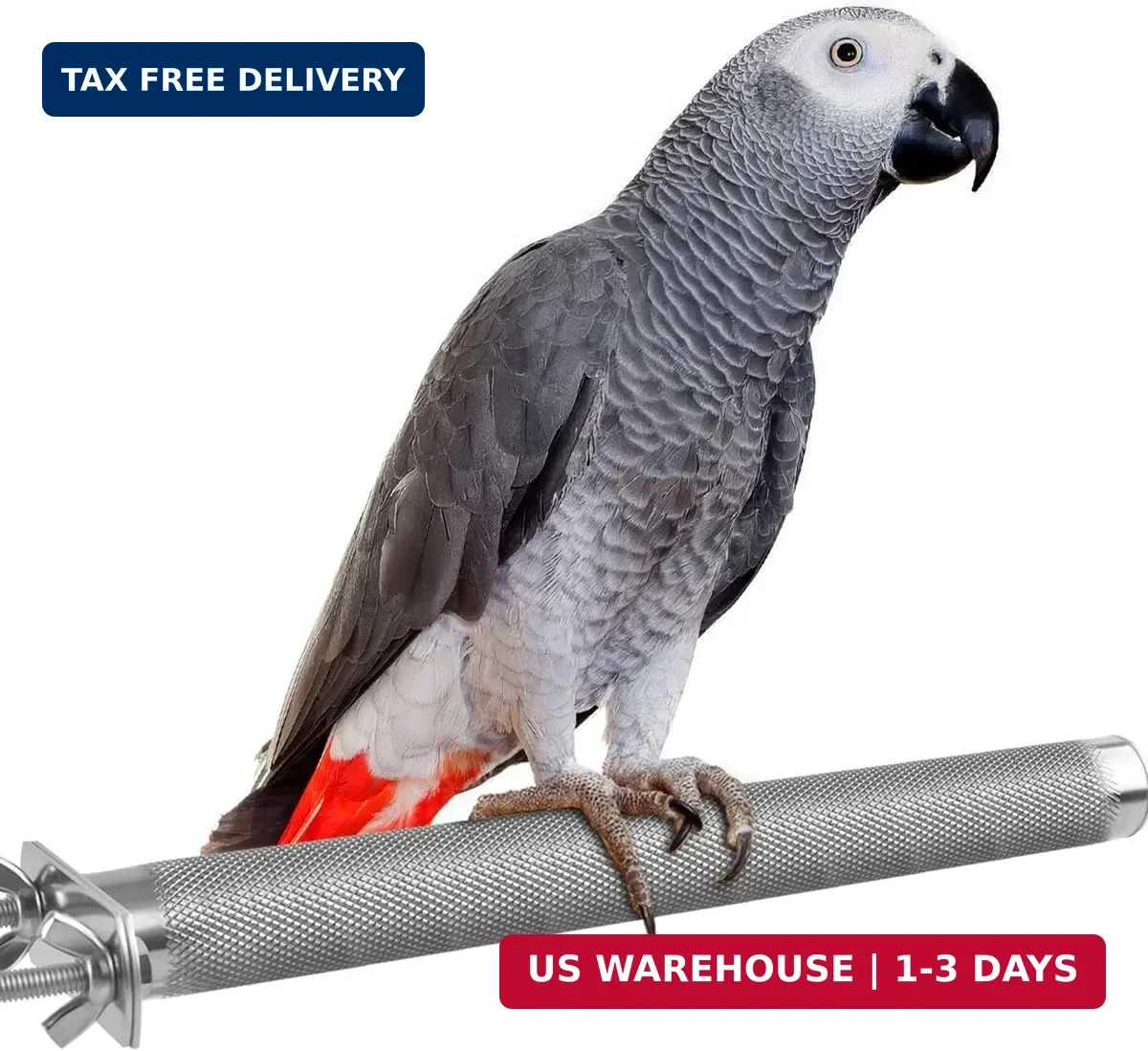 Bird Perch-Stainless Steel- Stand for Small to Medium Parrots 9.8 x 1.0 inch