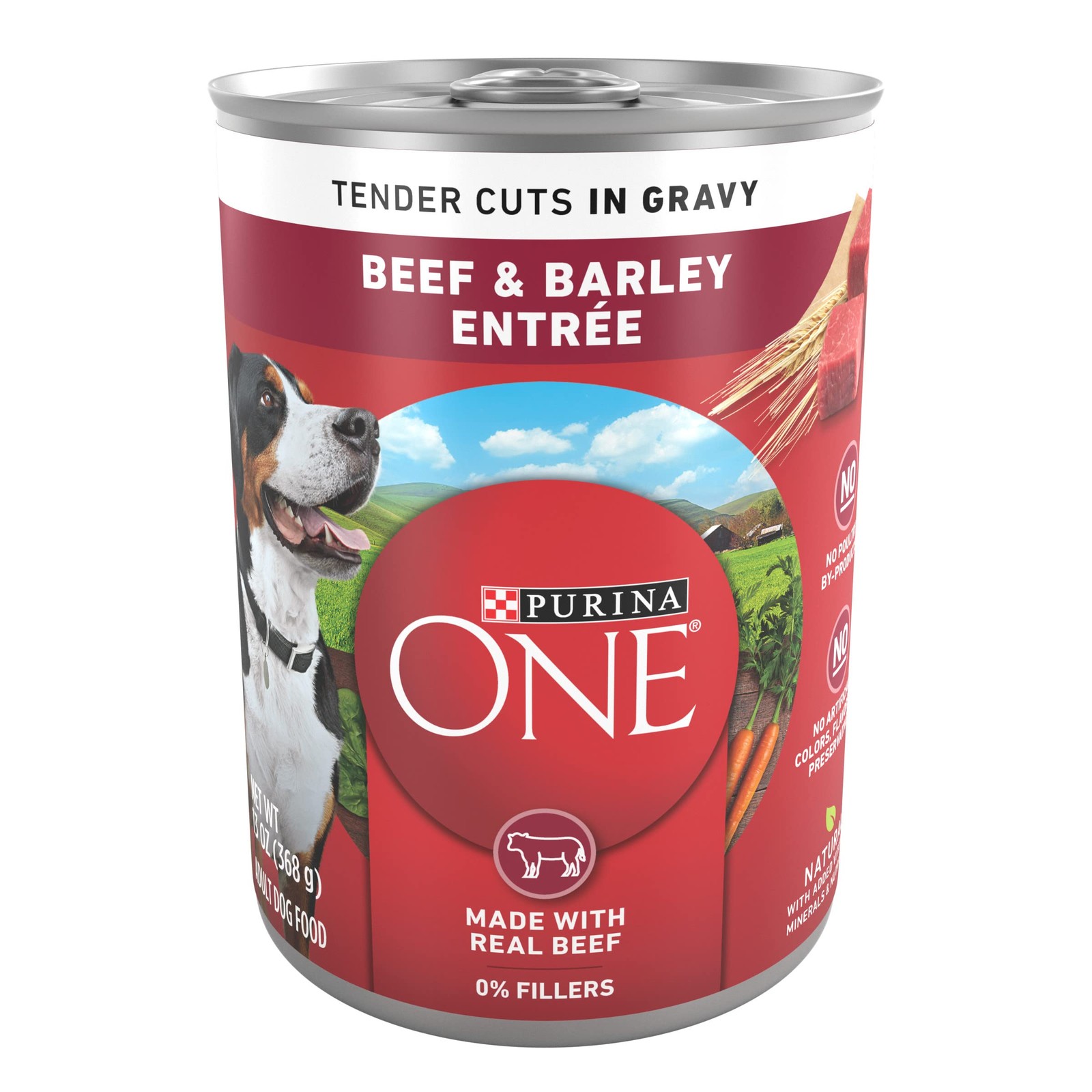 Purina ONE Natural Wet Dog Food Gravy, 9.75 Pound (Pack of 1), Beef & Barley