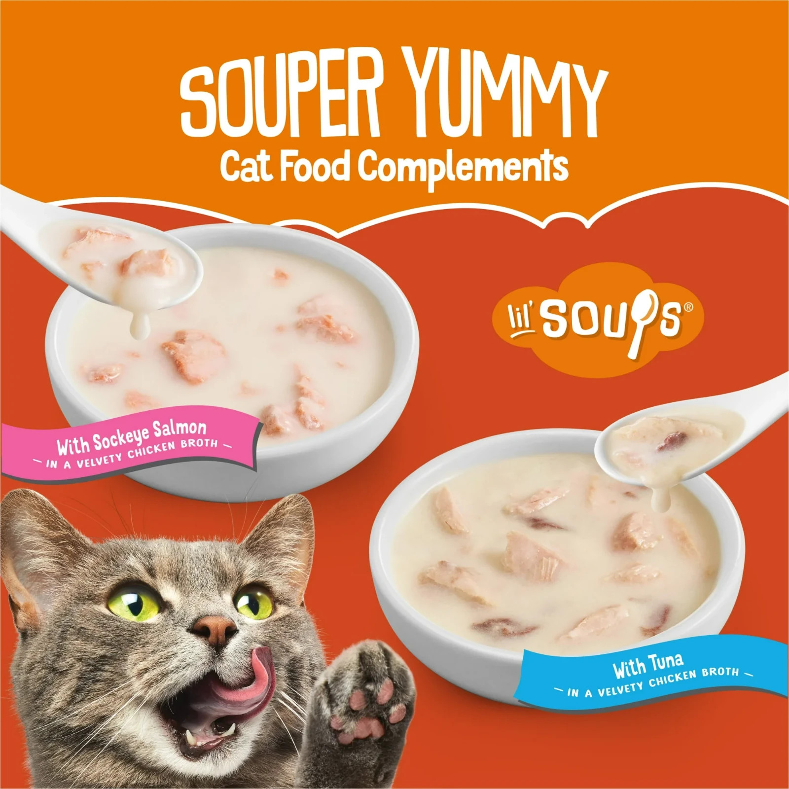 Purina Friskies Lil’ Soups Salmon and Tuna for Cats Variety Pack, 1.2oz 36Ct